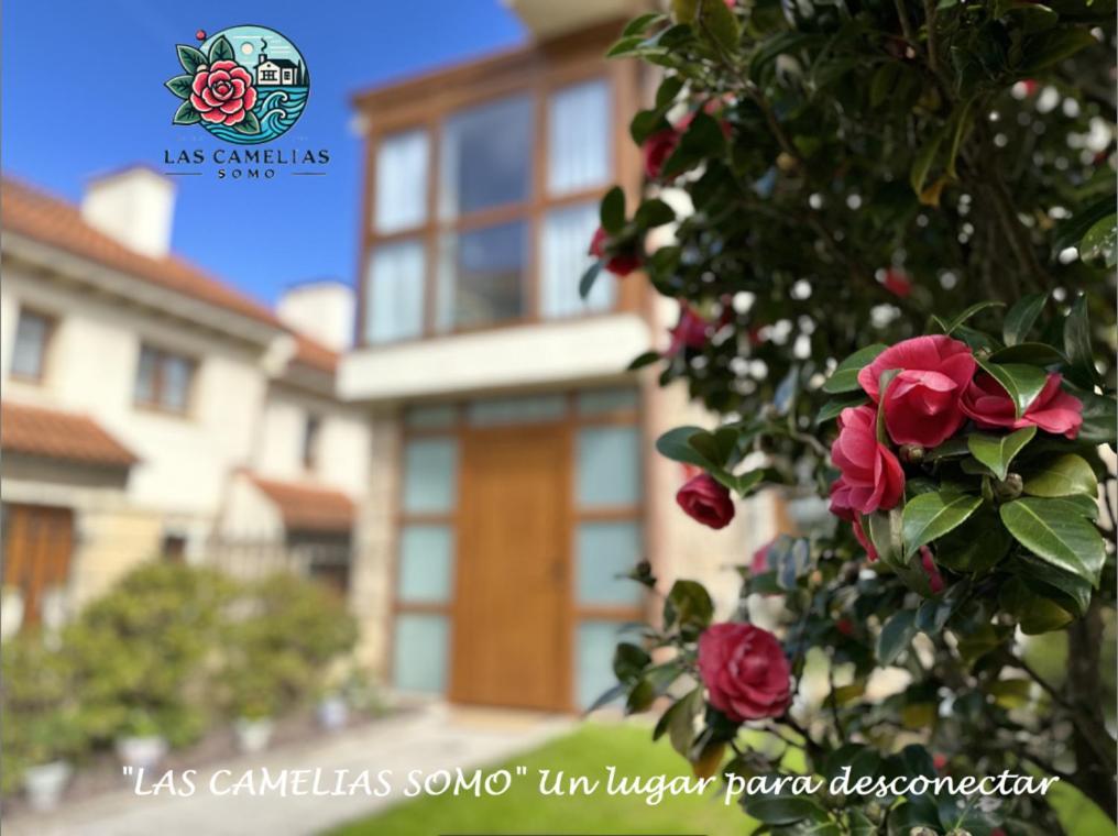 NUEVO!!! 5 min andando la PLAYA!! Las Camelias Somo REFORMADO totalmente Exterior foto